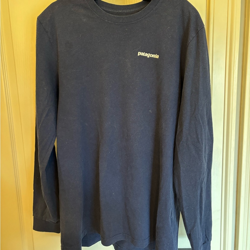 Patagonia Men's Regular Fit Blue Long Sleeve Shirt